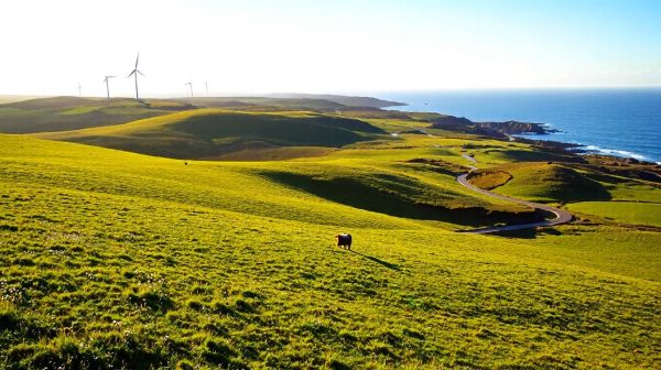 Top méthodes pour maximiser vos investissements en Finistère